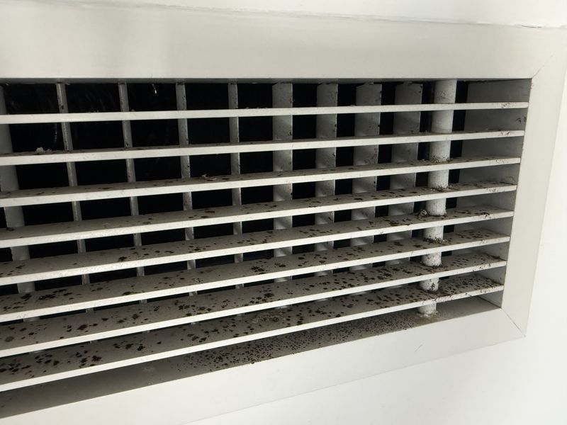 Before: supply air grille with heavy mould build-up across the louvres, Elizabeth Bay, NSW